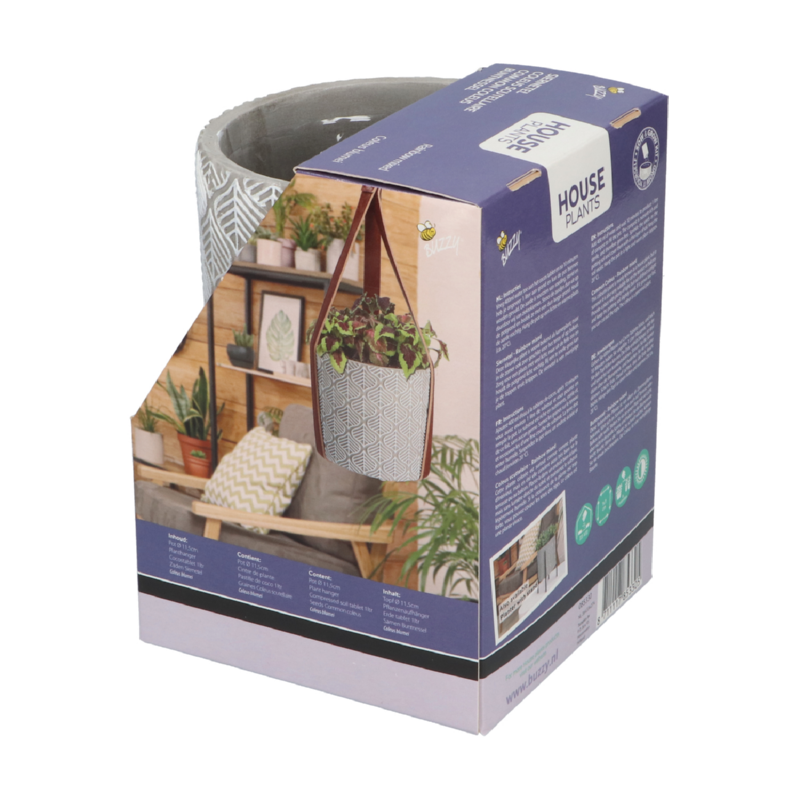 Buzzy® House Plants Coleus + hanging flower pot