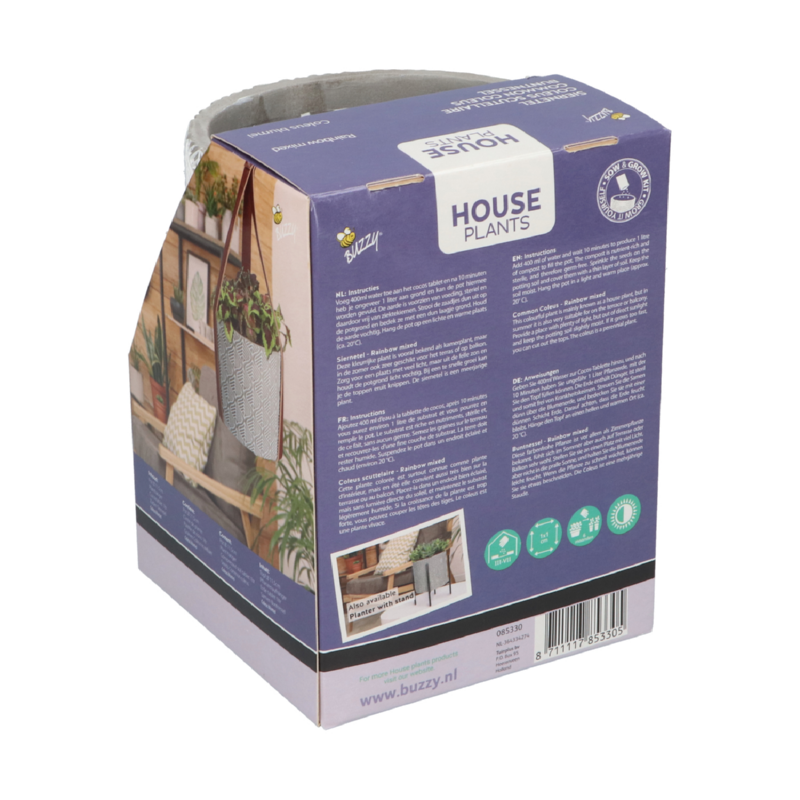 Buzzy® House Plants Coleus + hanging flower pot