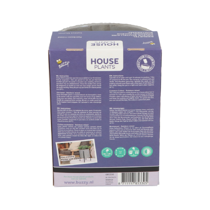 Buzzy® House Plants Coleus + hanging flower pot