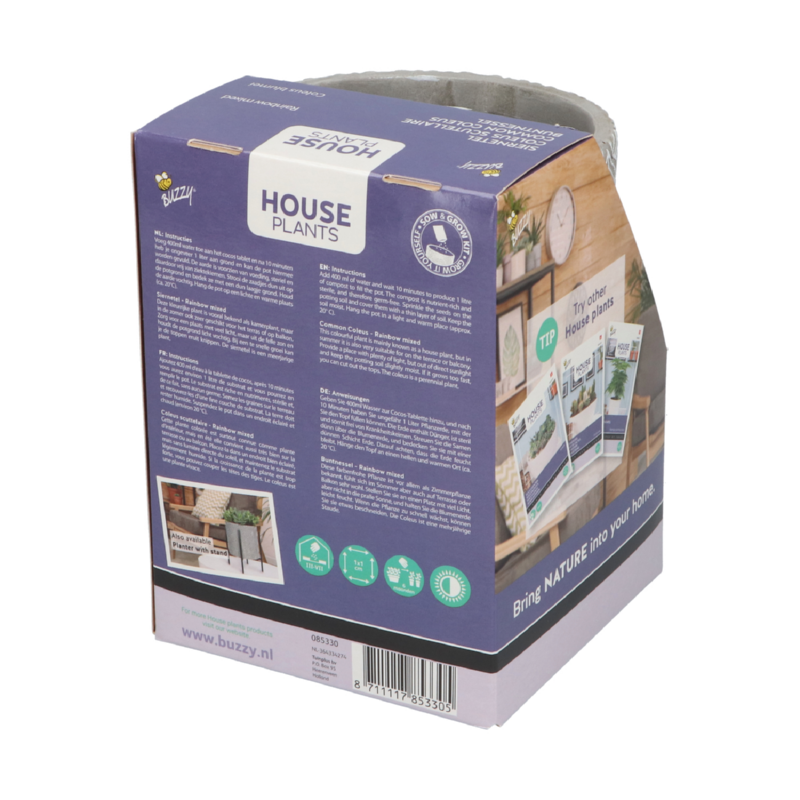 Buzzy® House Plants Coleus + hanging flower pot