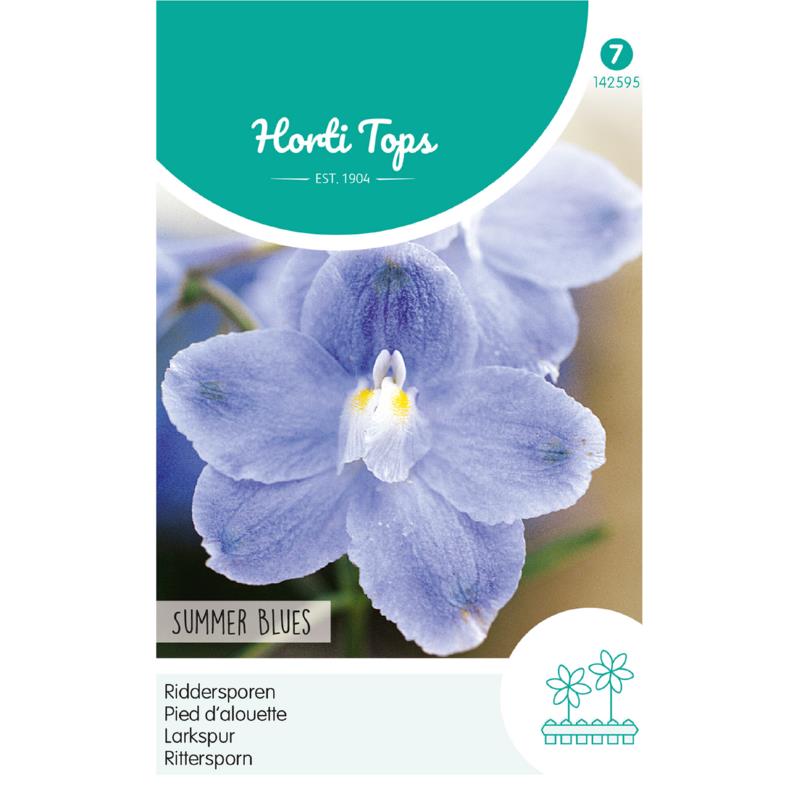 Horti Tops® Delphinium Grandiflorum 'Summer Blues'
