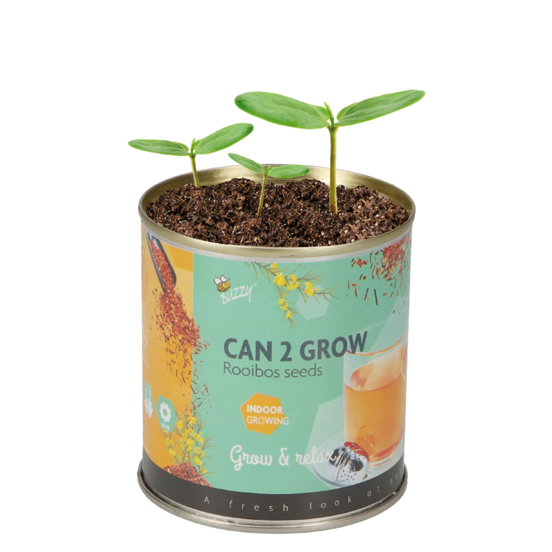 Display Buzzy® Can 2 Grow Koffie & Thee 22st