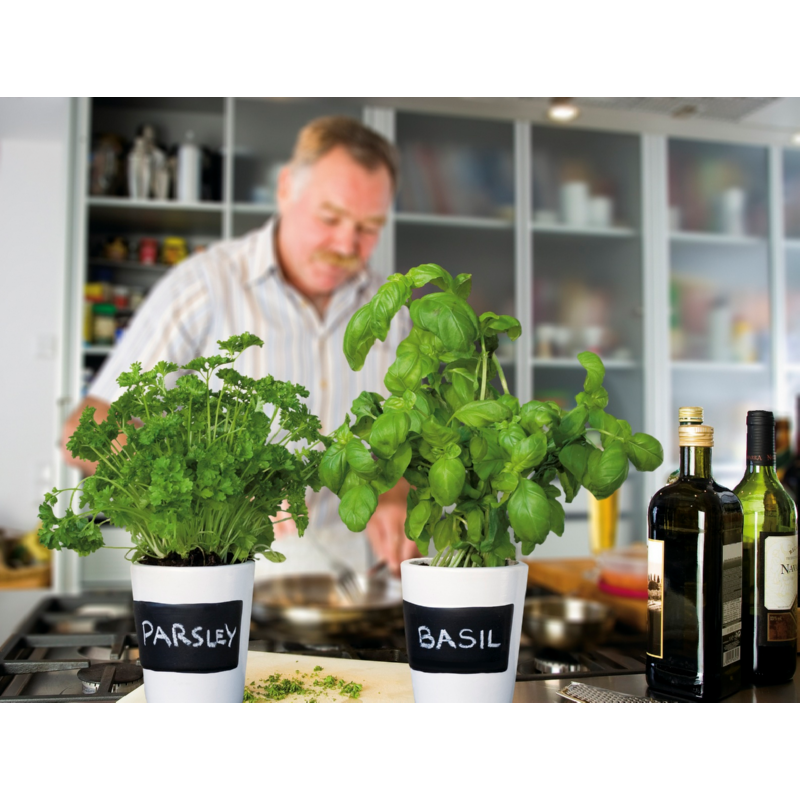 Buzzy® 3 Pots Kit Blanc Aromates (12) (BIO)