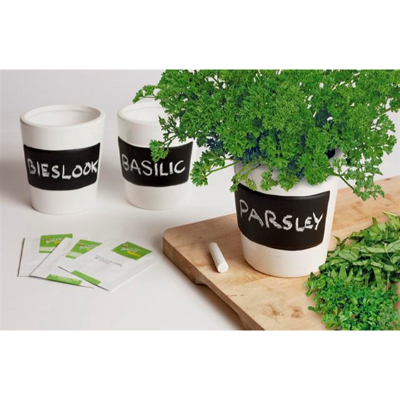 Buzzy® 3 Pots Kit Blanc Aromates (12) (BIO)