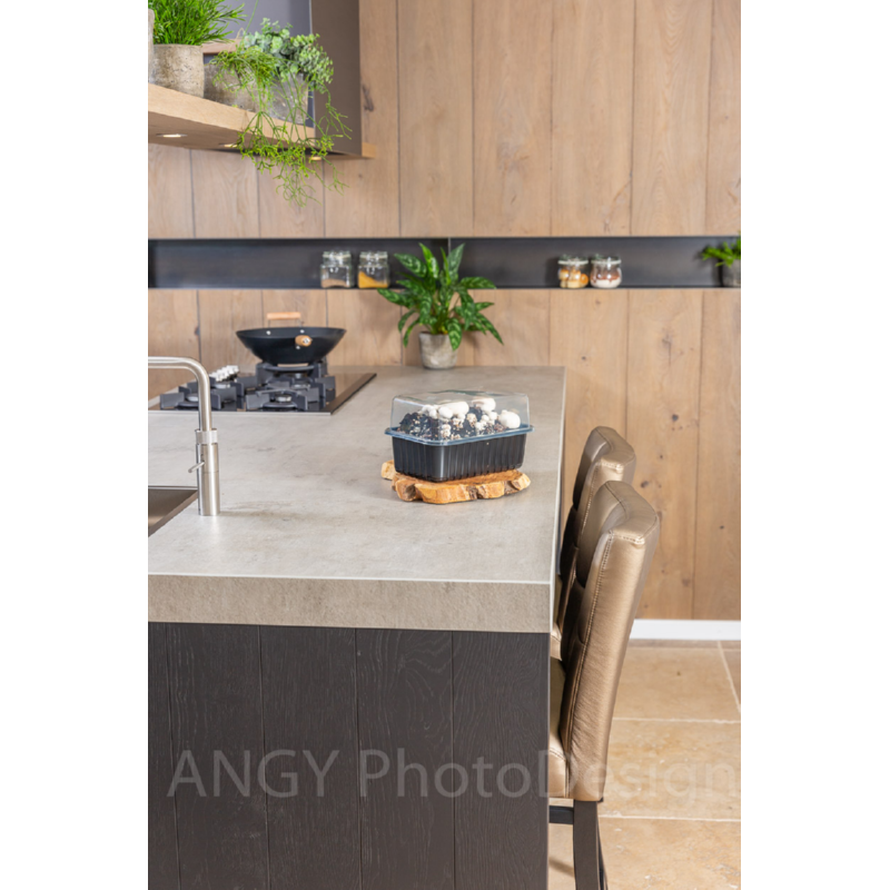 Mini Champ Home Growing White mushrooms