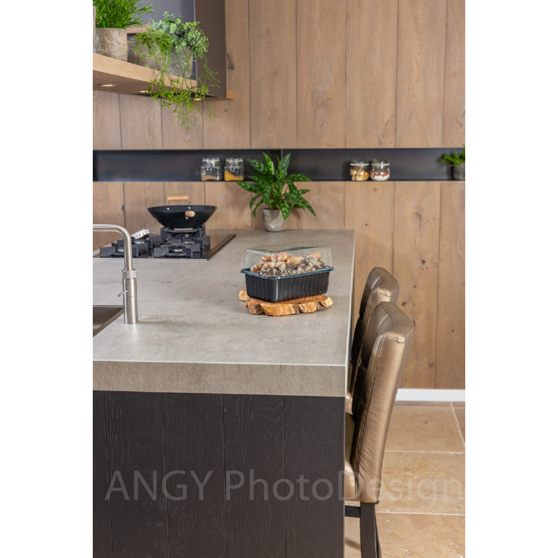 Mini Champ Home Growing Braun mushrooms