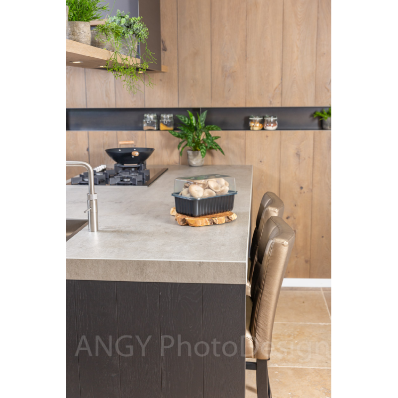 Mini Champ Home Growing Grey Oyster Mushrooms