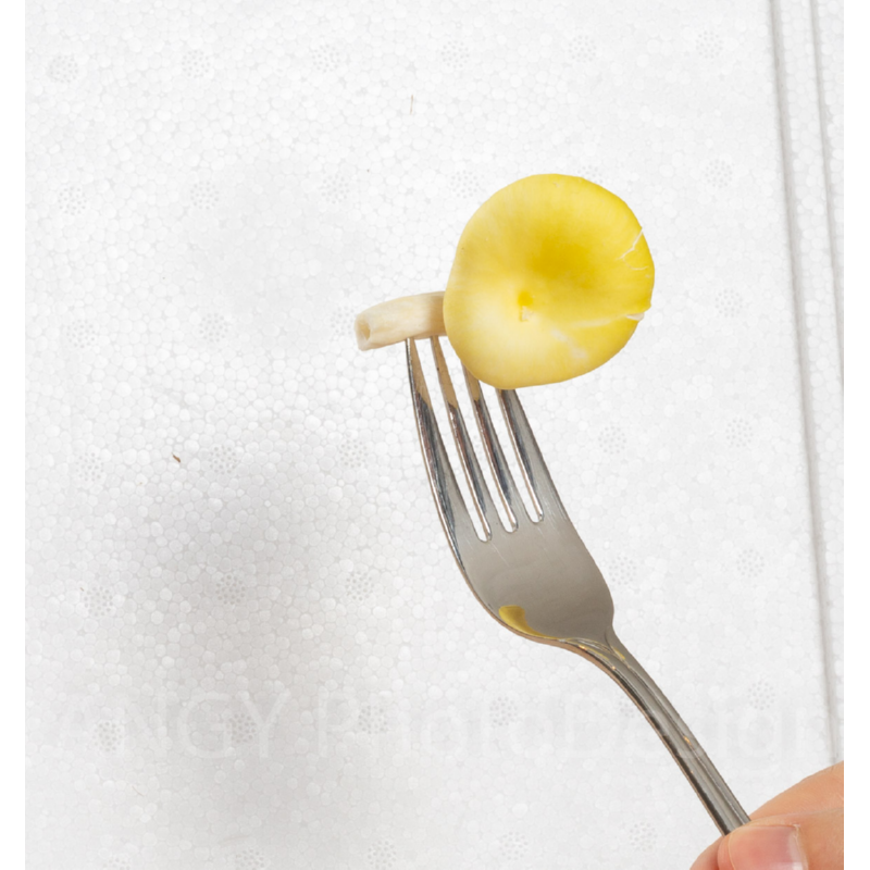 Mini Champ Home Growing Gele oesterzwam