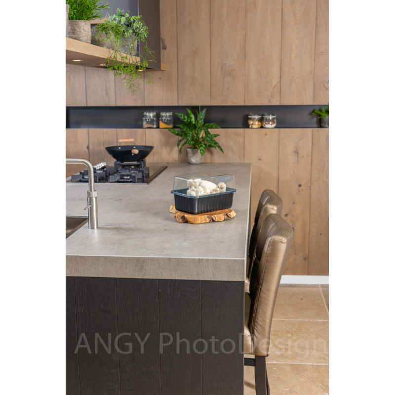 Mini Champ Home Growing King Oyster Mushrooms