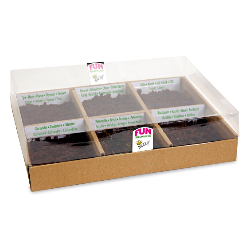 Buzzy® Starter kit Tea Time