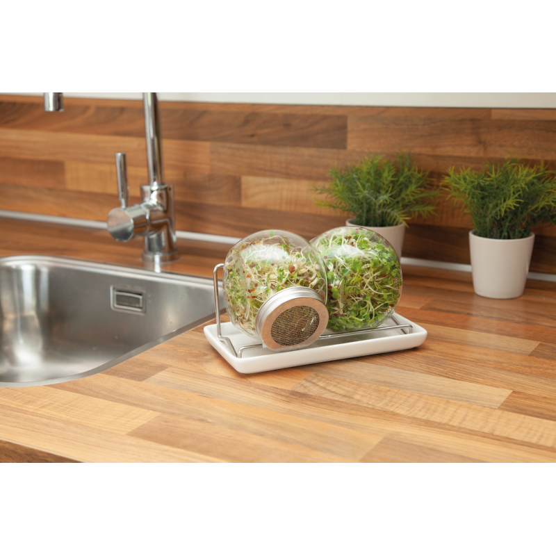 Buzzy® Organic Keimsprossen Duo Sprossenglas mit Samen