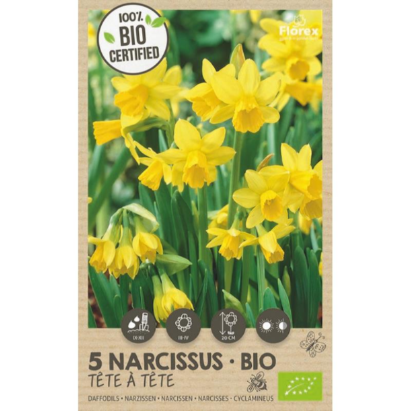 Bio Narcis Tete á Tete 10/+ 5st.