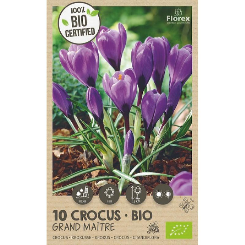Bio Crocus Grand Maitre 7/8 10st