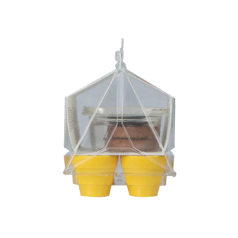 Green Warriors® Mini Greenhouse Edible Flowers BIO