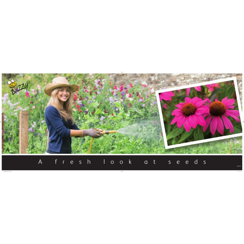 Kopkaart  Buzzy Flowers 39.7x99.5