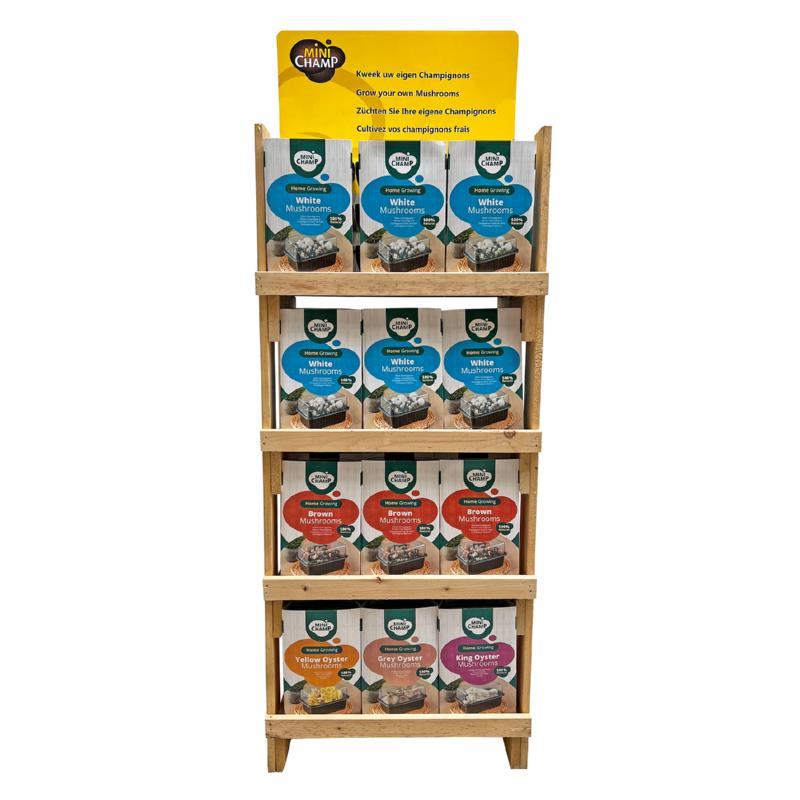 Mini Champ Home Growing display Mushrooms