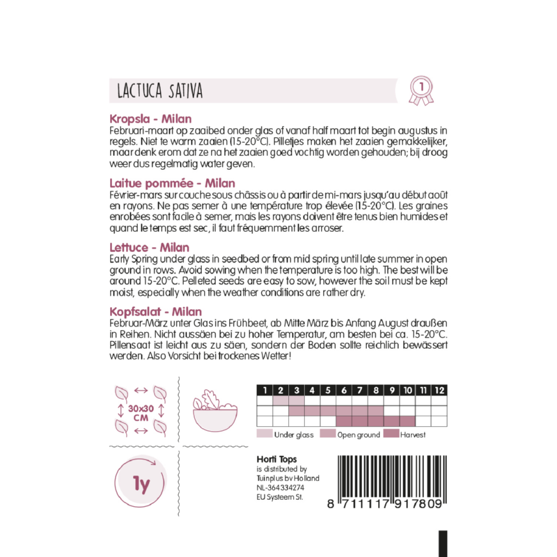 Pilstar Lettuce Pelleted seeds