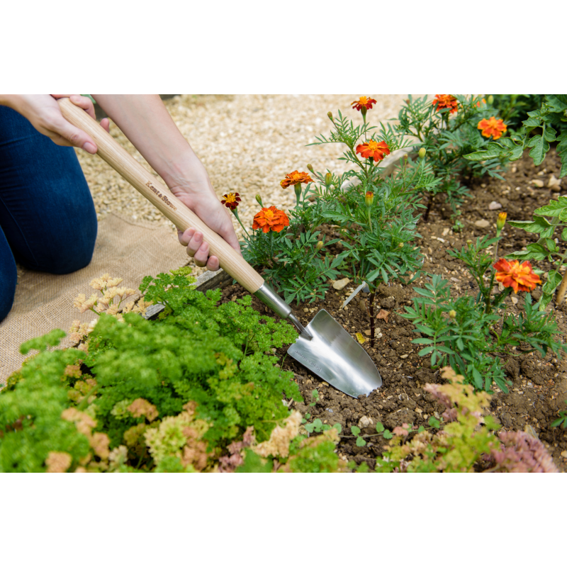 Kent & Stowe Border Handschep