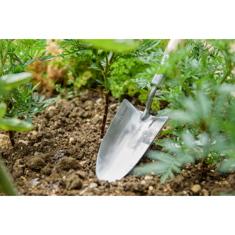 Kent & Stowe Border Handschep