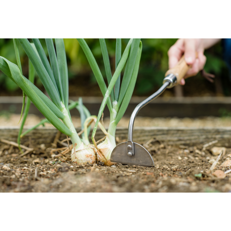 Kent & Stowe Hand Onion Hoe