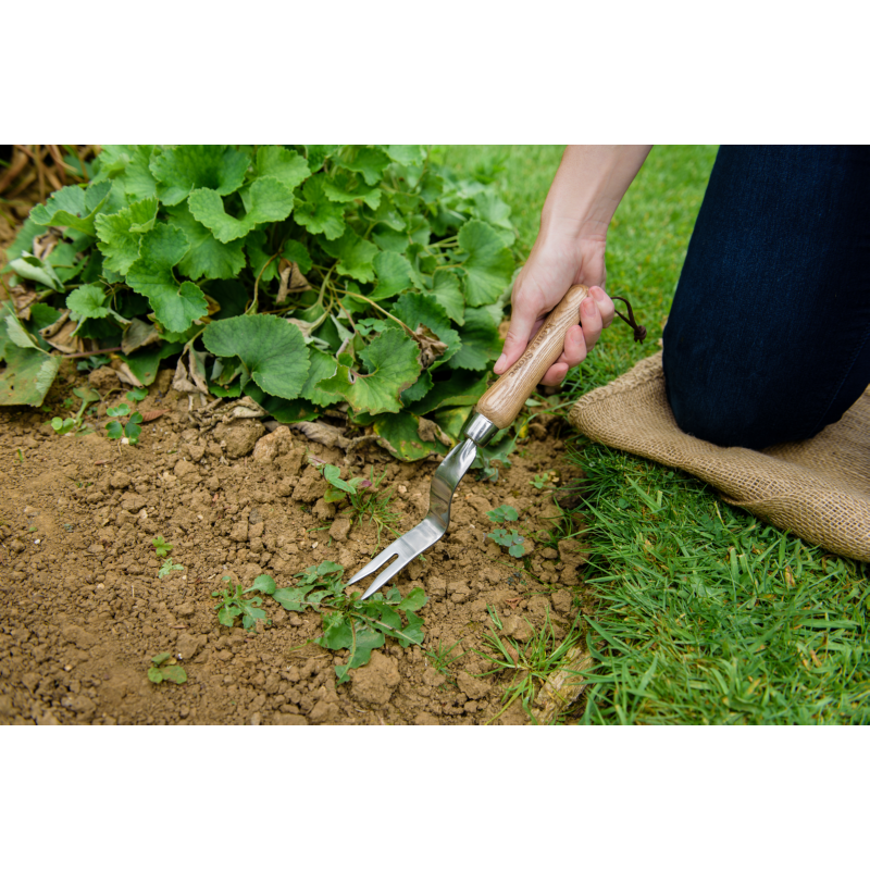 Kent & Stowe Onkruidwieder gras