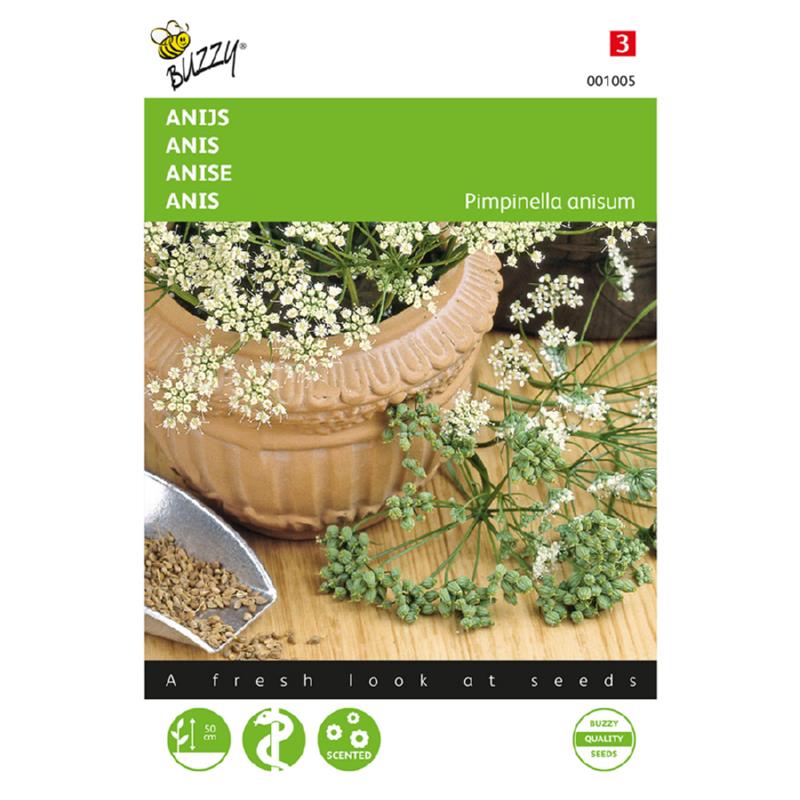 Buzzy® Anise (Pimpinella Anisum)