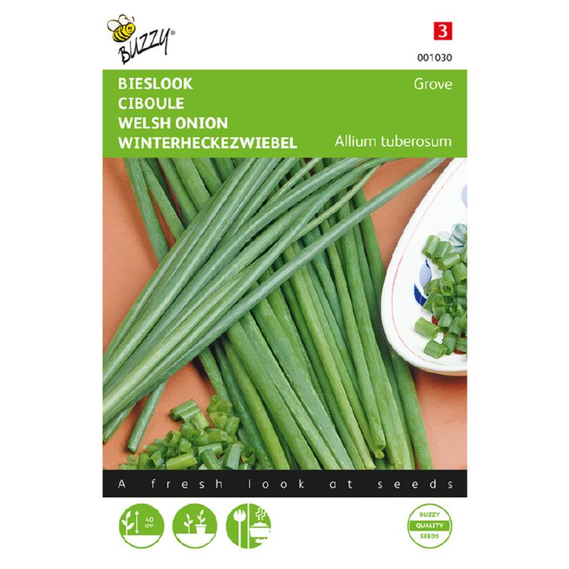 Buzzy® Bieslook Grove