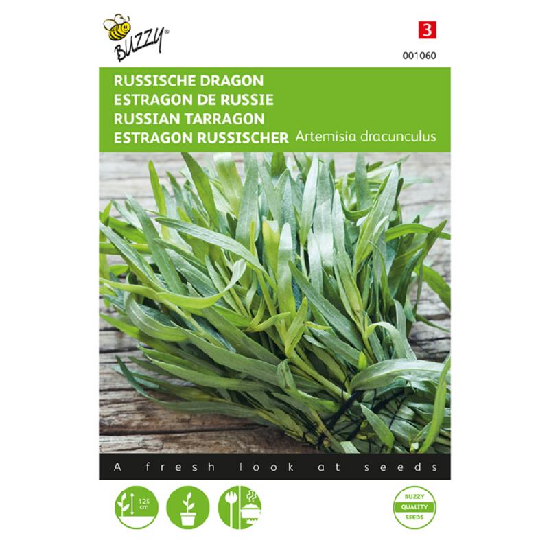 Buzzy® Artemisia dracunculus (Tarragon)