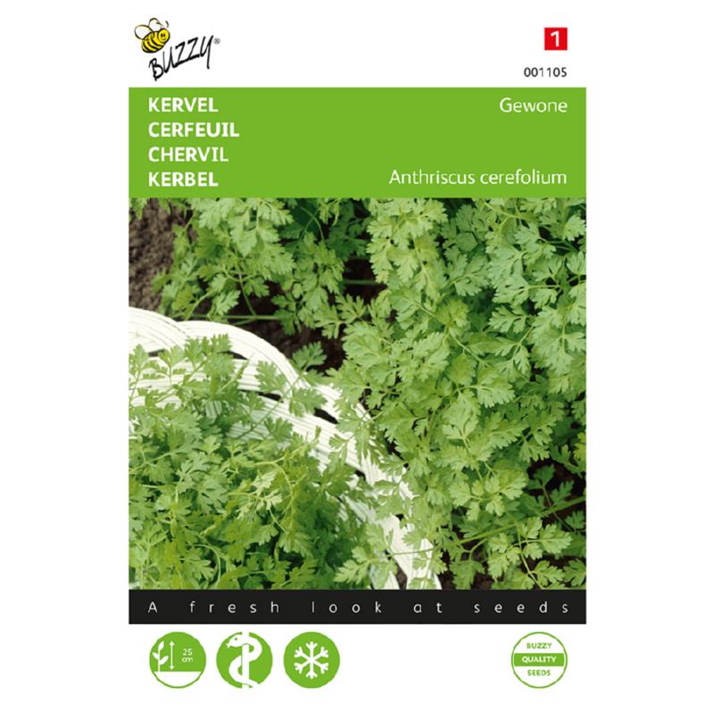 Buzzy® Chervil Common or Plain