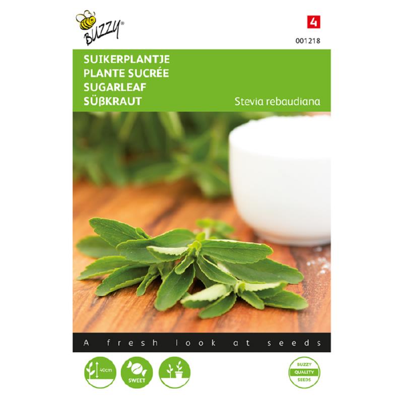 Buzzy® Stevia, Suikerplantje of Honingkruid