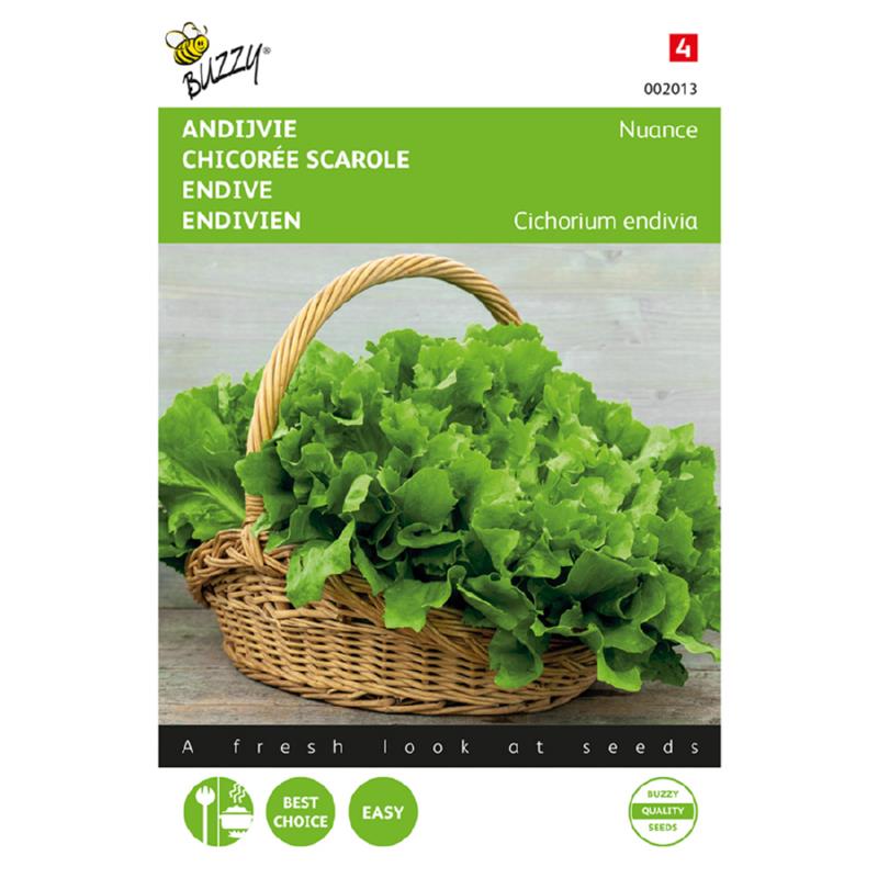 Buzzy® Andijvie Nuance