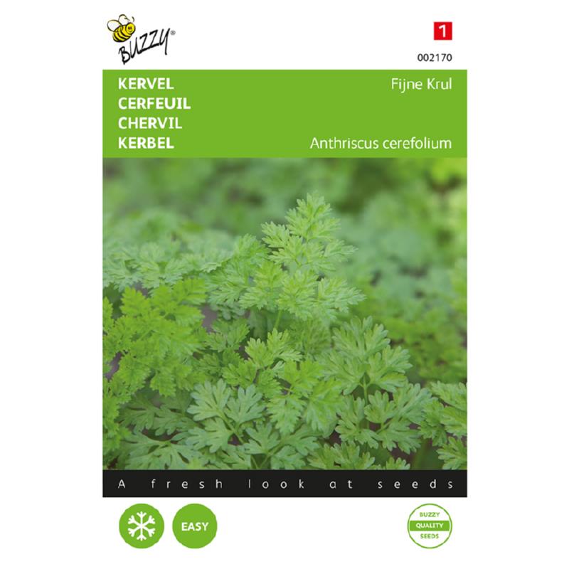 Buzzy® Kervel Fijne Krul