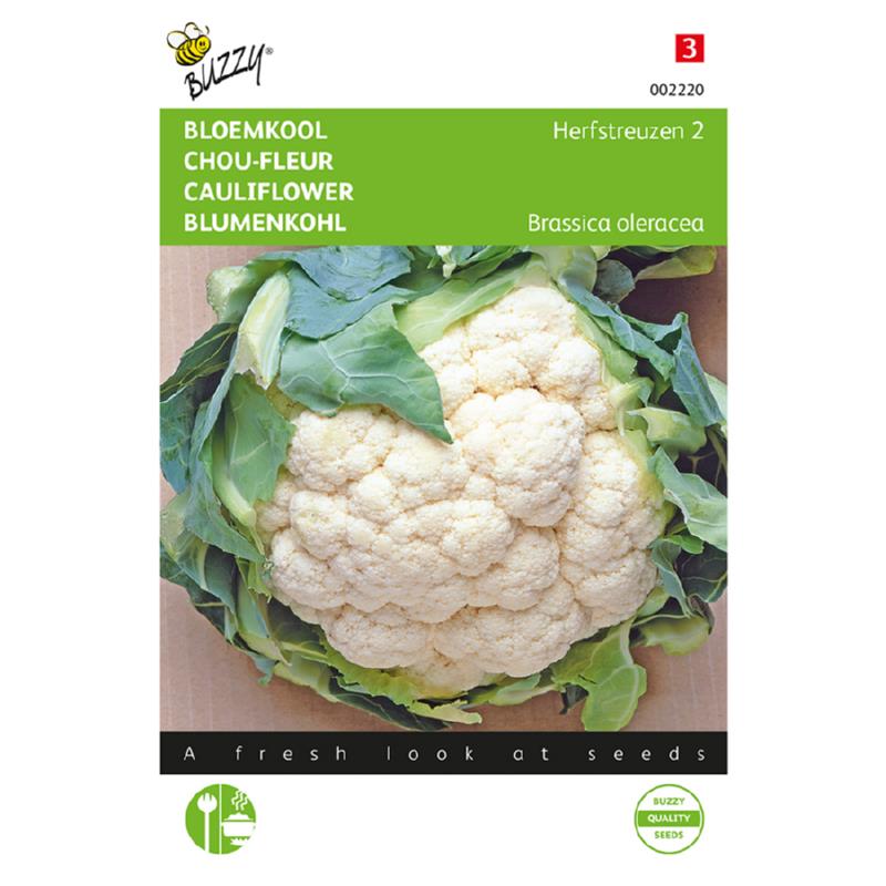 Buzzy® Cauliflower Autumn Giant 2