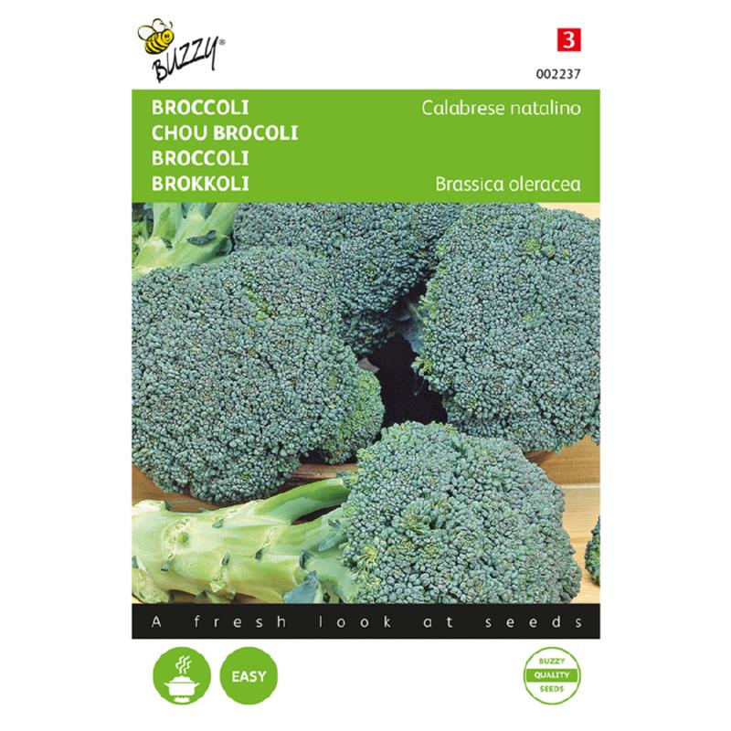 Buzzy® Broccoli Calabrese natalino, groen
