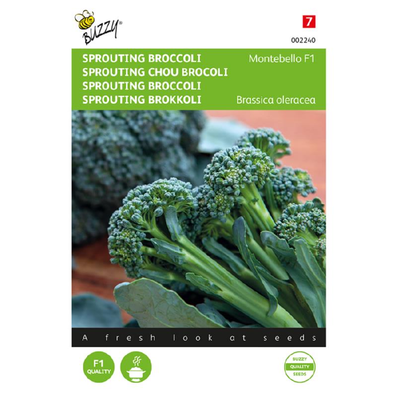 Buzzy® Sprouting Broccoli Montebello F1