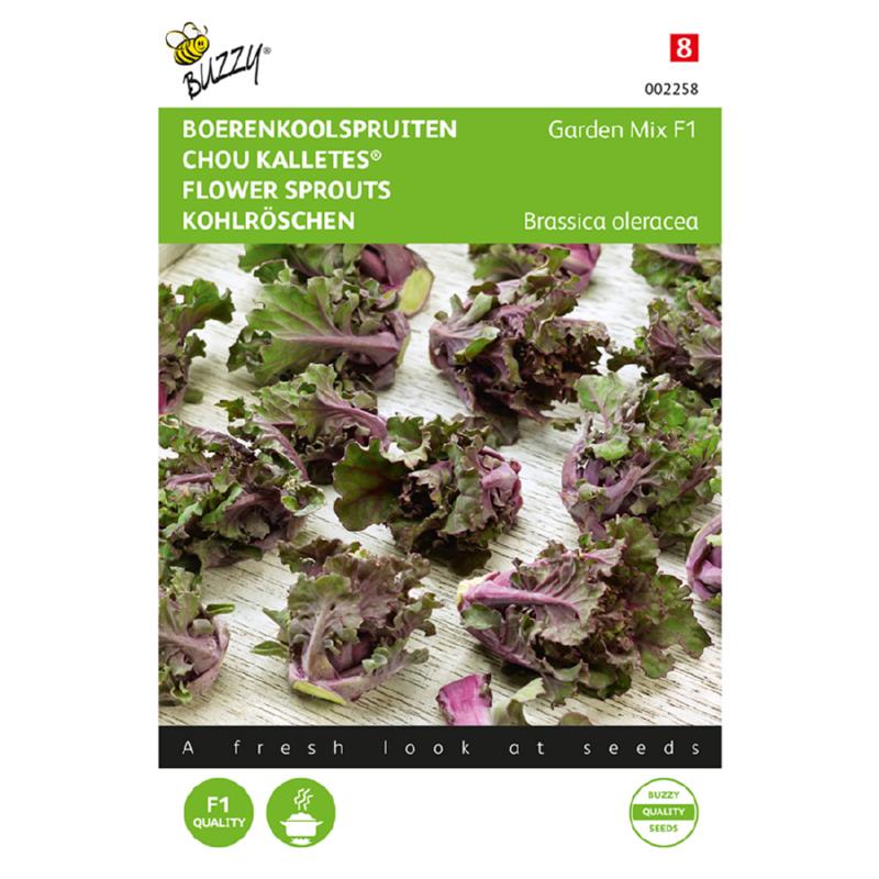 Buzzy® Boerenkoolspruitjes, Kalettes® Garden Mix F1
