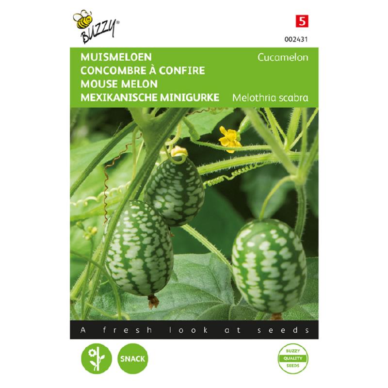 Buzzy® Mouse melon, Cucamelon