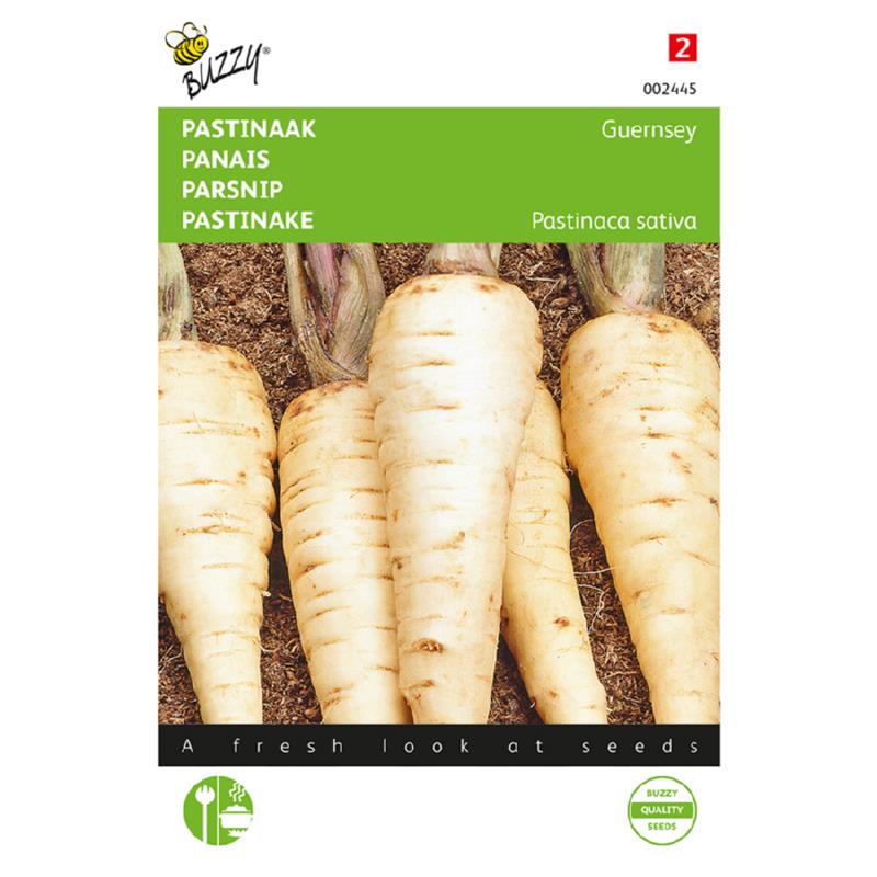 Buzzy® Parsnip Guernsey (Hollow Crown)