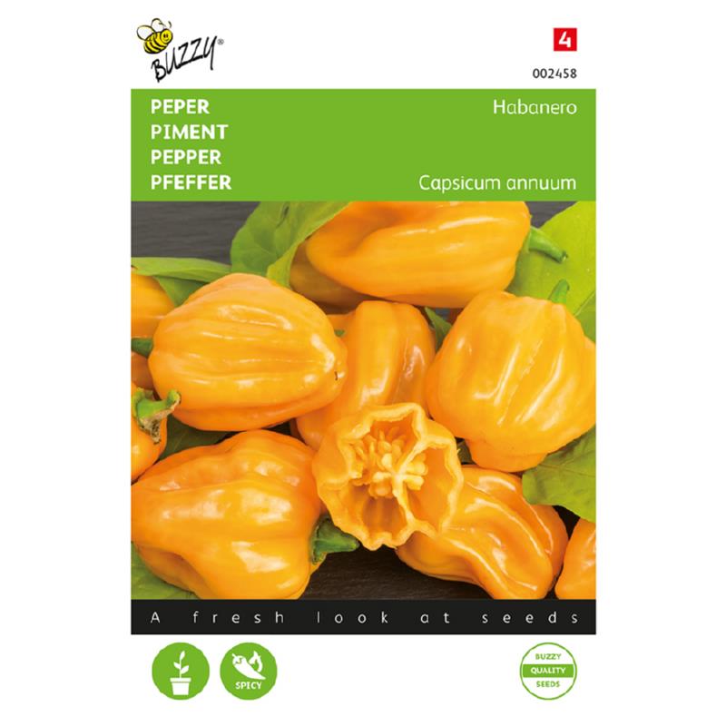 Buzzy® Pepper Habanero Orange