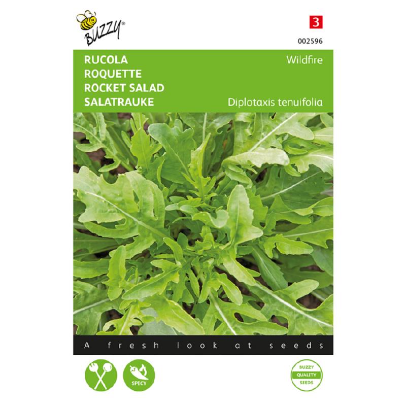 Buzzy® Rucola Wasabi