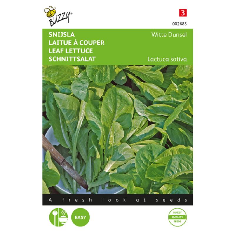 Buzzy® Leaf lettuce Blonde Witte Dunsel