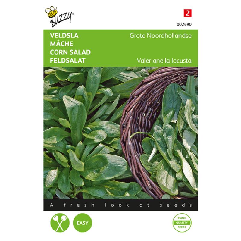 Buzzy® Veldsla Grote Noordhollandse