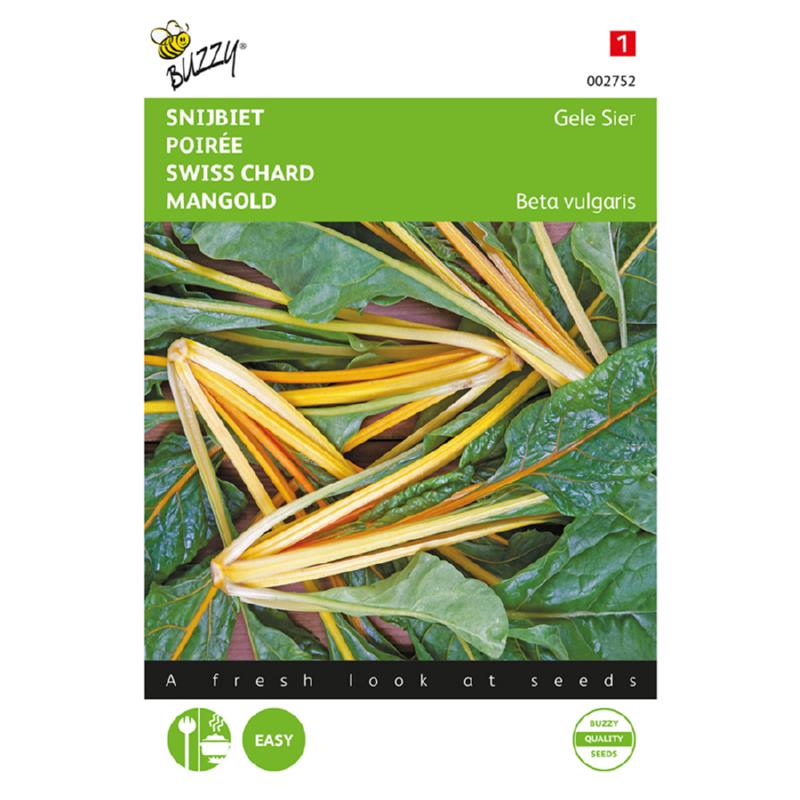 Buzzy® Swiss Chard Yellow