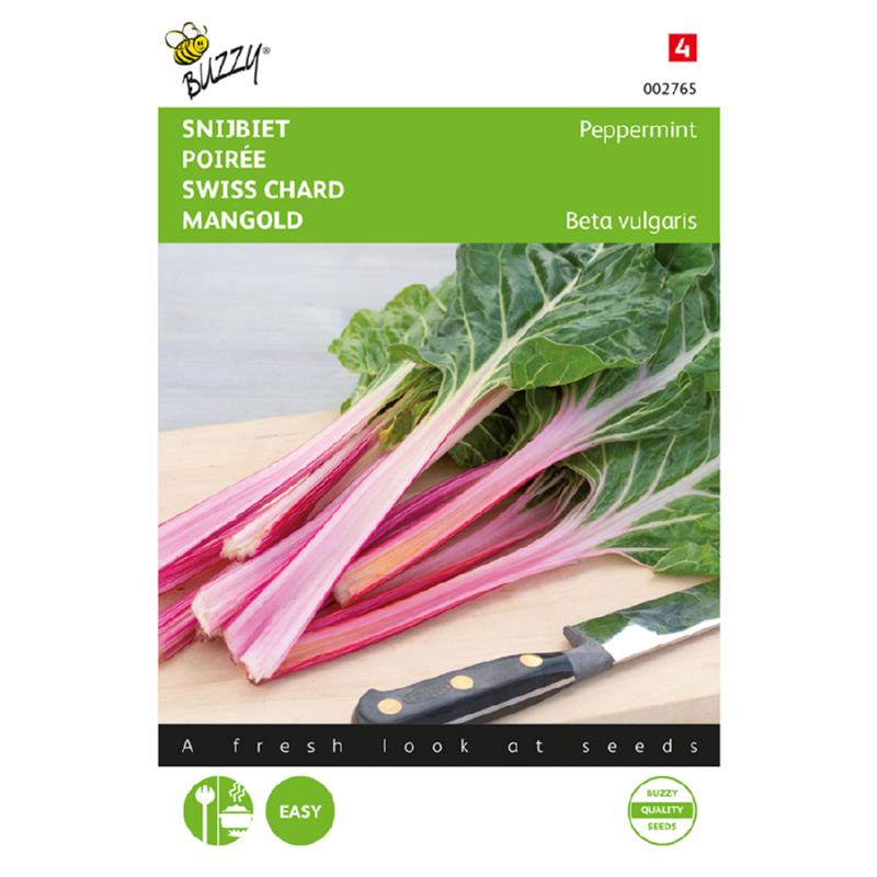 Buzzy® Swiss Chard Peppermint