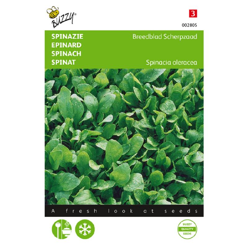 Buzzy® Spinach Breedblad Scherpzaad, prickly seeded