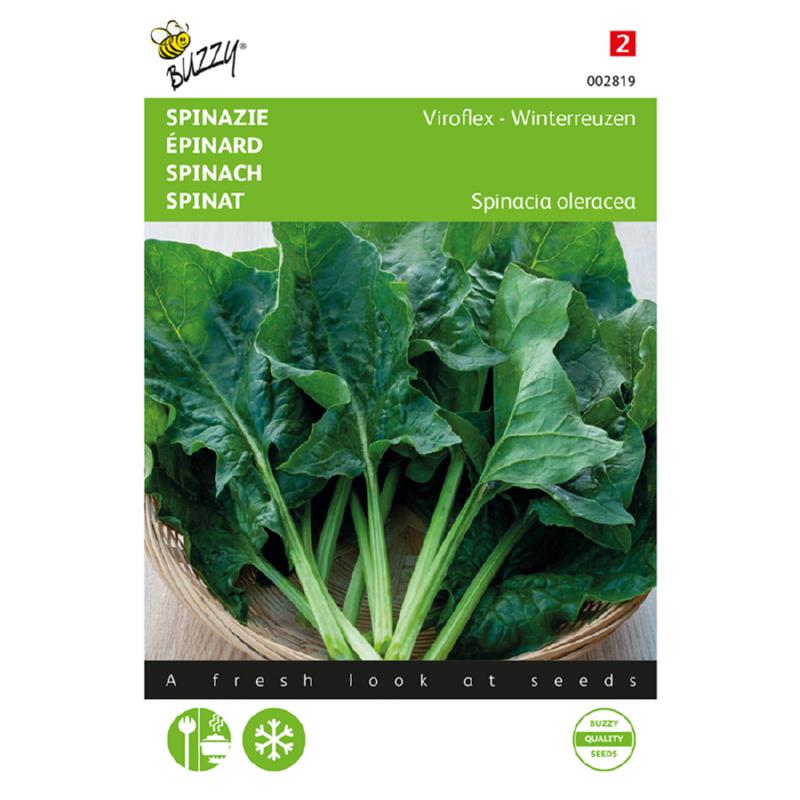 Buzzy® Spinazie Winterreuzen, 25g