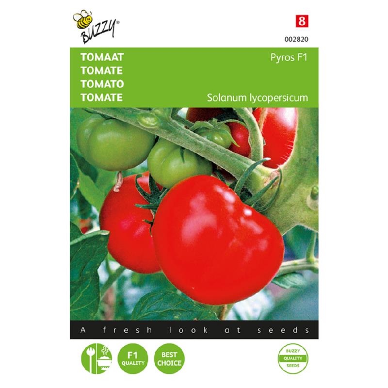 Buzzy® Tomato Pyros F1