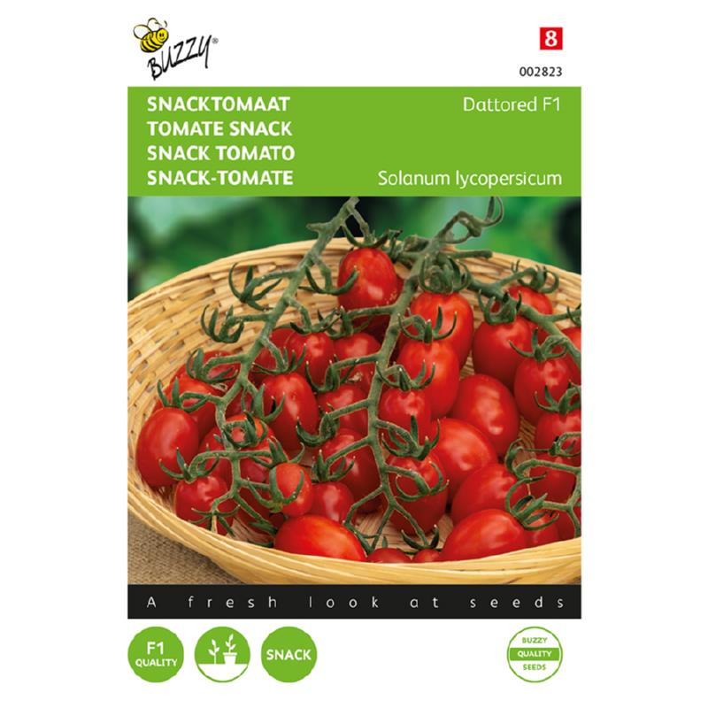 Buzzy® Snacktomaat Dattored F1