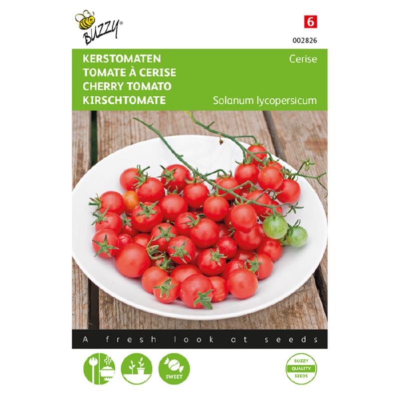 Buzzy® Cherry Tomato Cerise