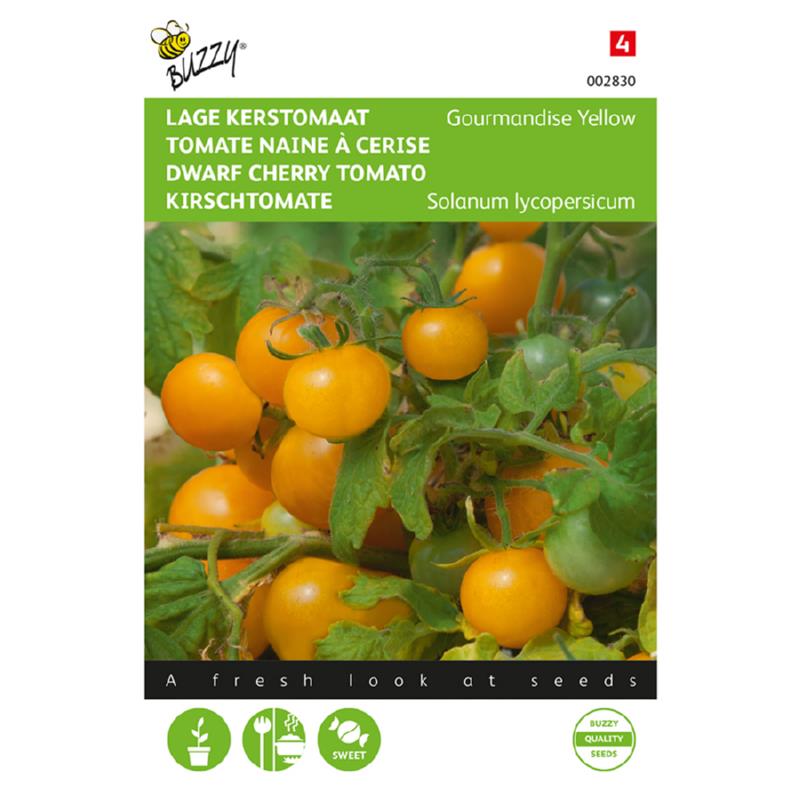 Buzzy® Tomaten Gourmandise (gele cherry patio)
